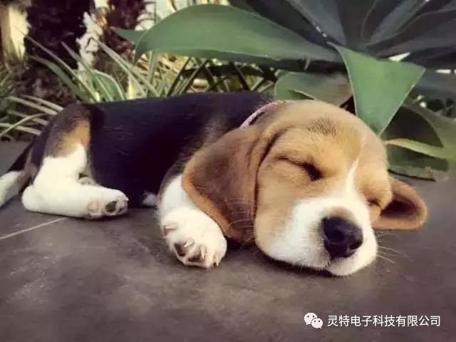 微信圖片_20181130214118