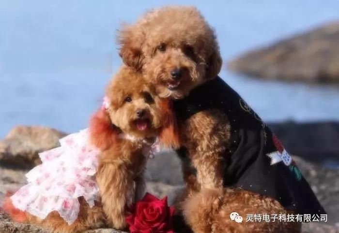 微信圖片_20181130214127