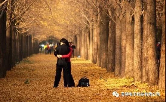 微信圖片_20181203105427
