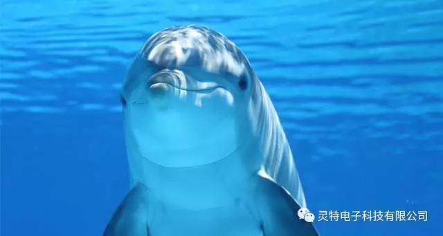 微信圖片_20181124103626.jpg